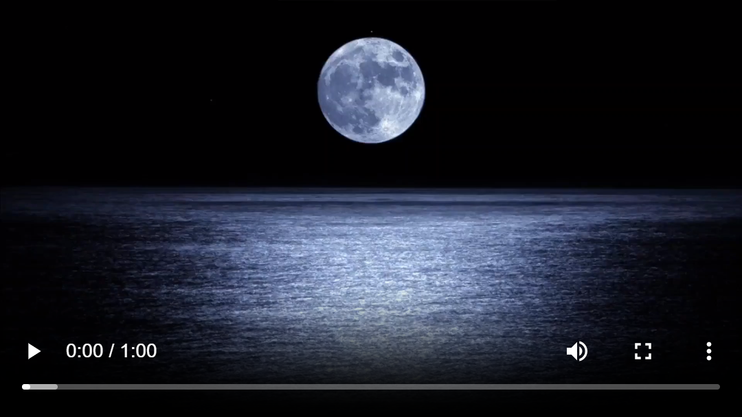 Moom shimmering on water (108302)